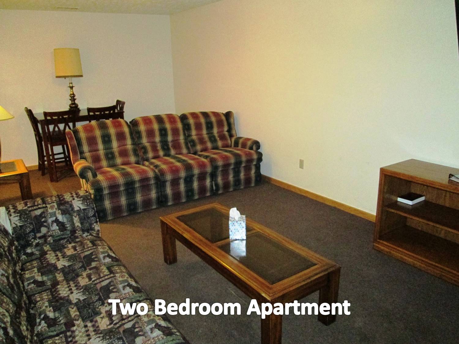 2 bedroom apartment two queen beds, kitchen. lving room with pullout sofa. .