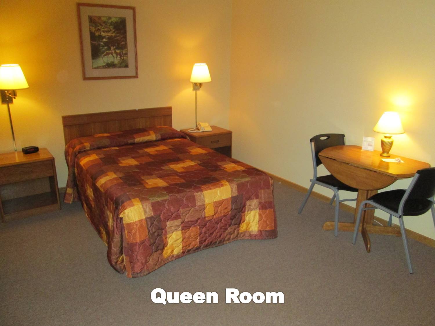 Room with one queen bed and appropriate furnishings.